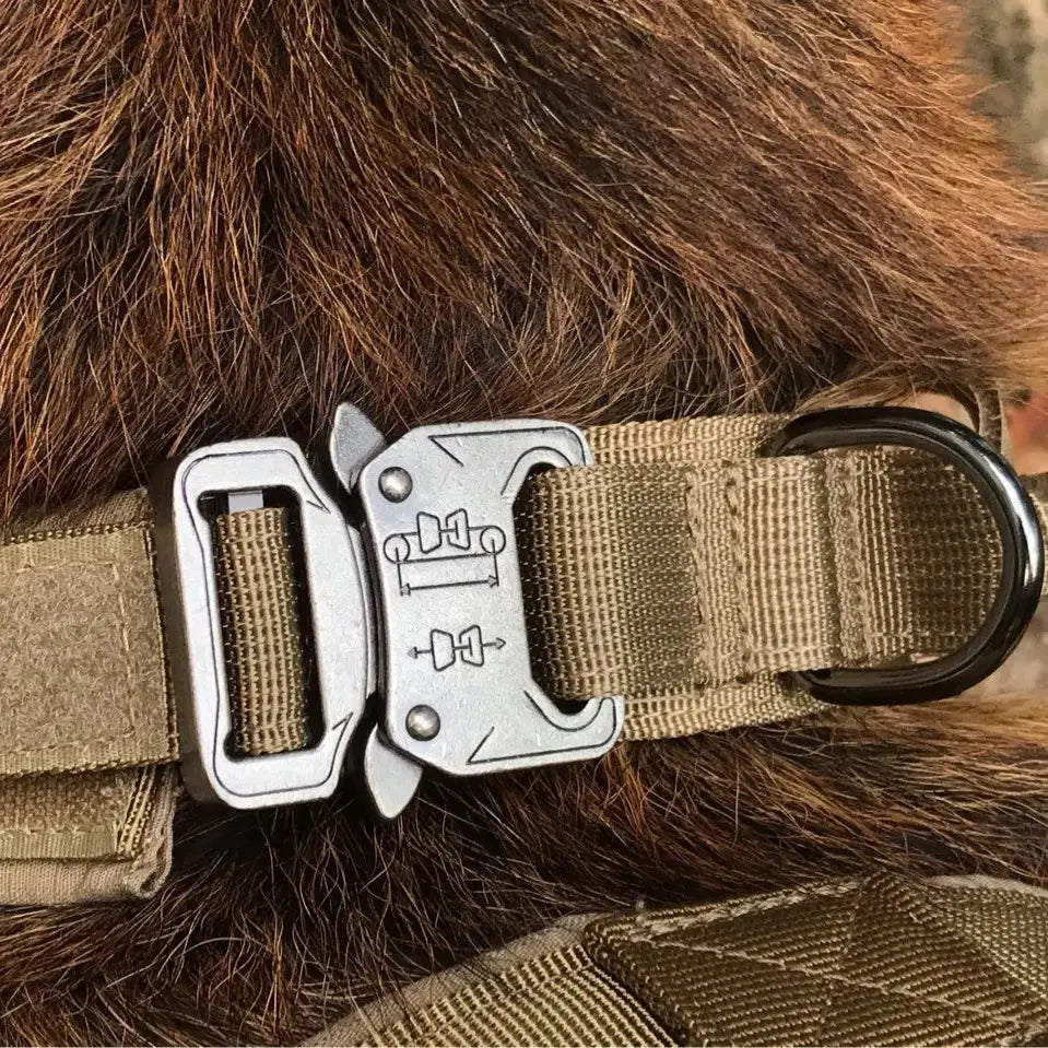 Tactical Collar Tailsprouts