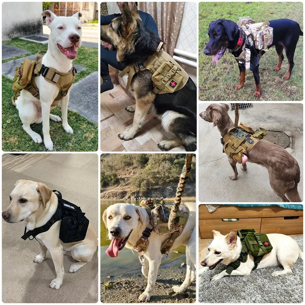 Tactical Dog Harness Pouch Set Tailsprouts