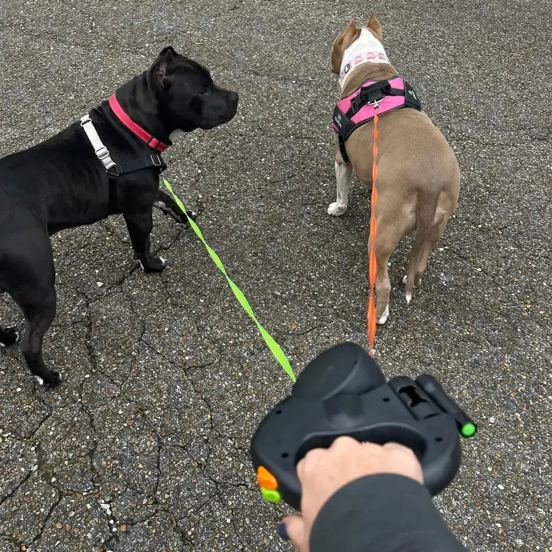 Dual Dog Leash-No Tangle Tailsprouts