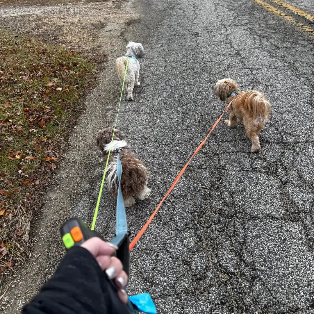 Dual Dog Leash-No Tangle Tailsprouts