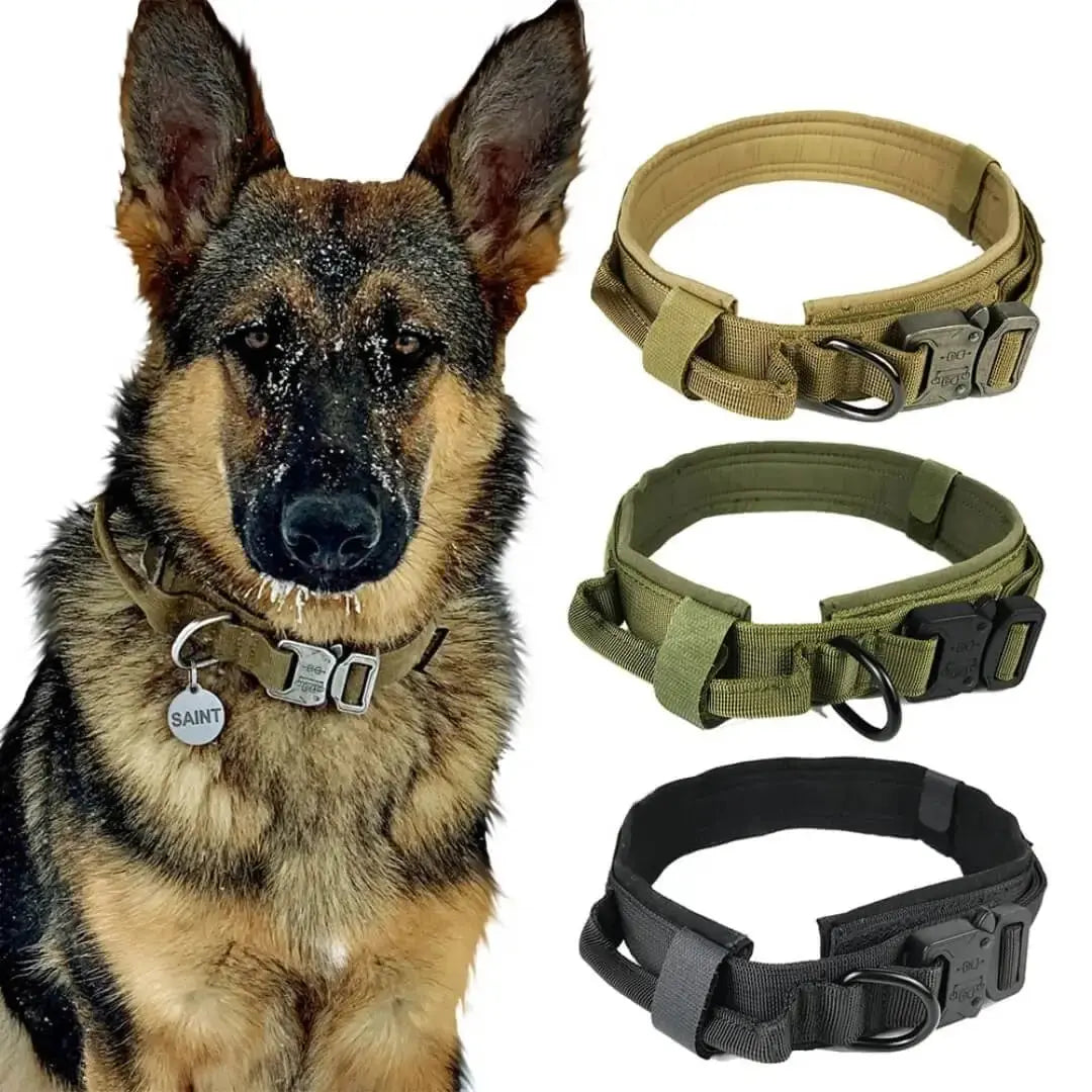 Tactical Collar Tailsprouts