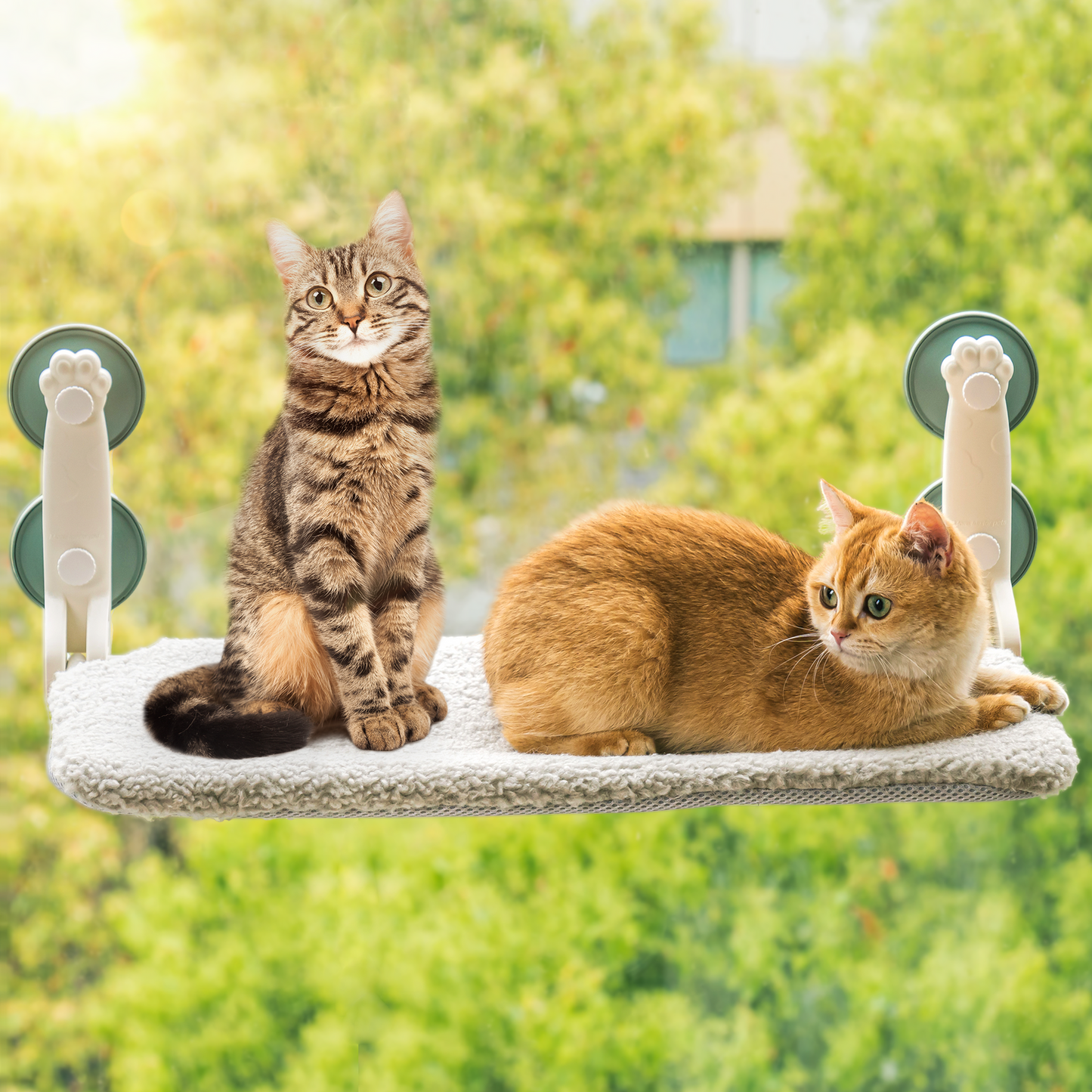 Hamac de fenêtre pour chat