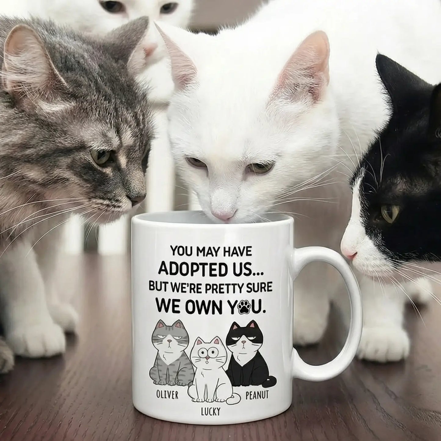 Personalized Custom Mug for Cat Lovers, Cat Mom, Cat Dad - You May Have Adopted Me But Pretty Sure I Own You