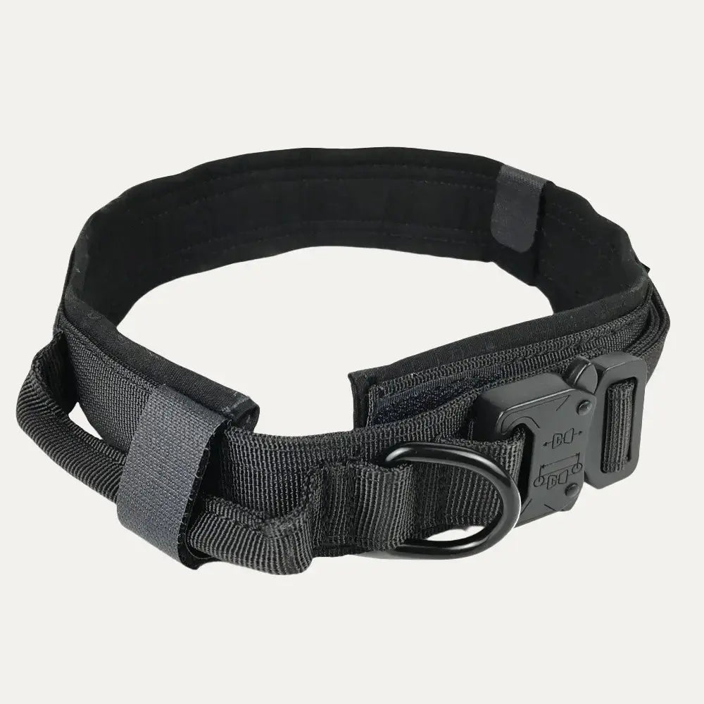 Tactical Collar Tailsprouts