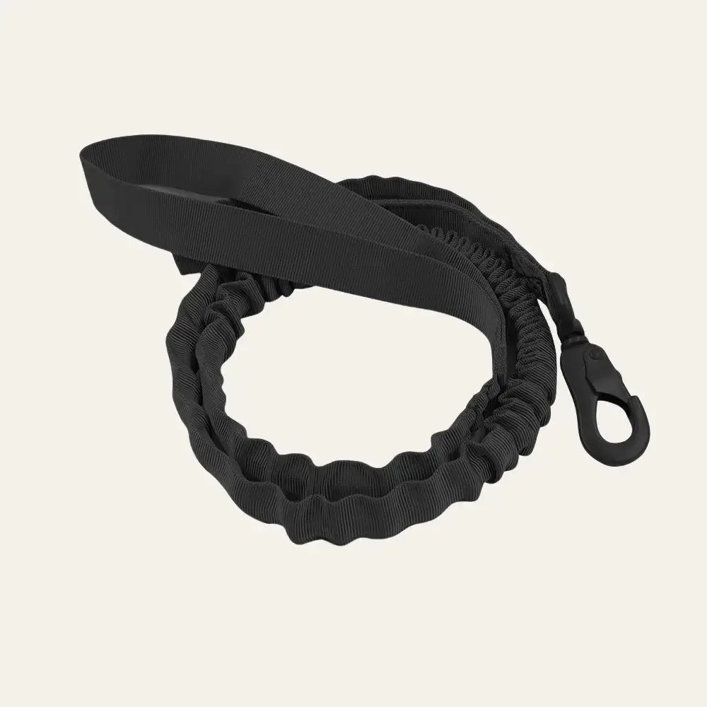 Tactical Bungee Leash Tailsprouts