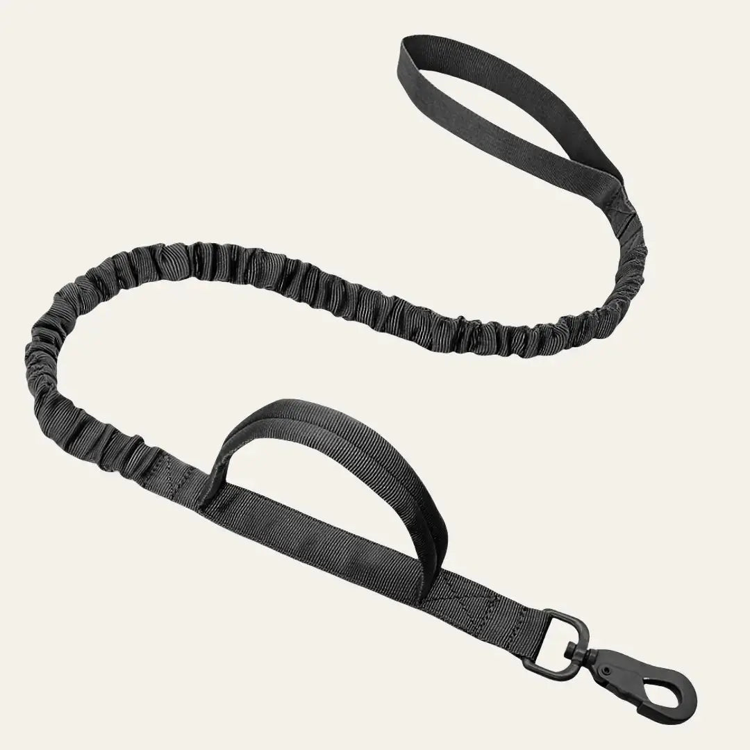 Tactical Bungee Leash Tailsprouts