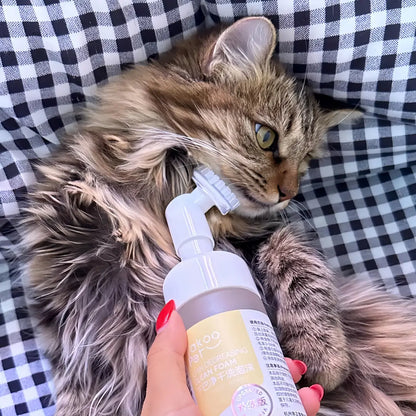 Cat Chin Cleanser