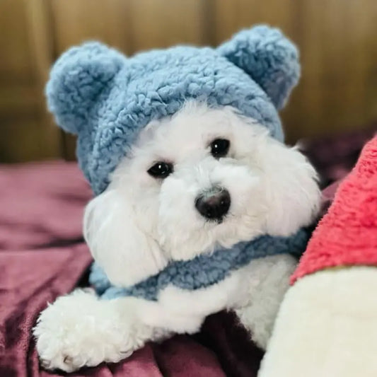 Cozy Pet Pajama Cape [[{"value":"shop name"}]]
