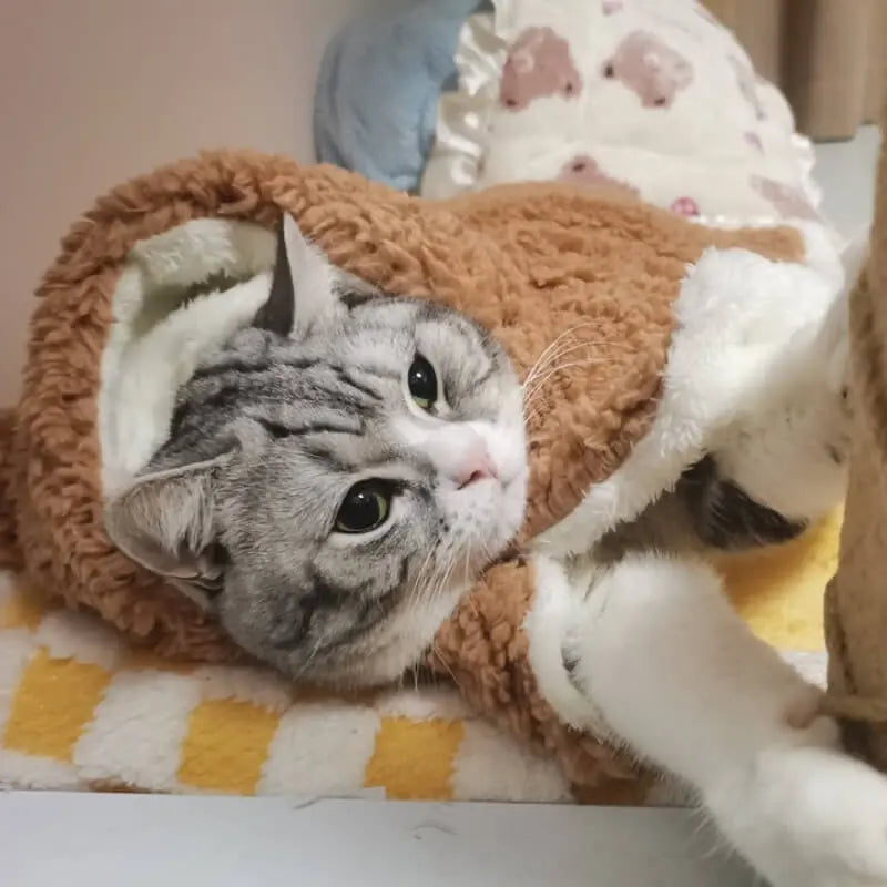 Cozy Pet Pajama Cape [[{"value":"shop name"}]]