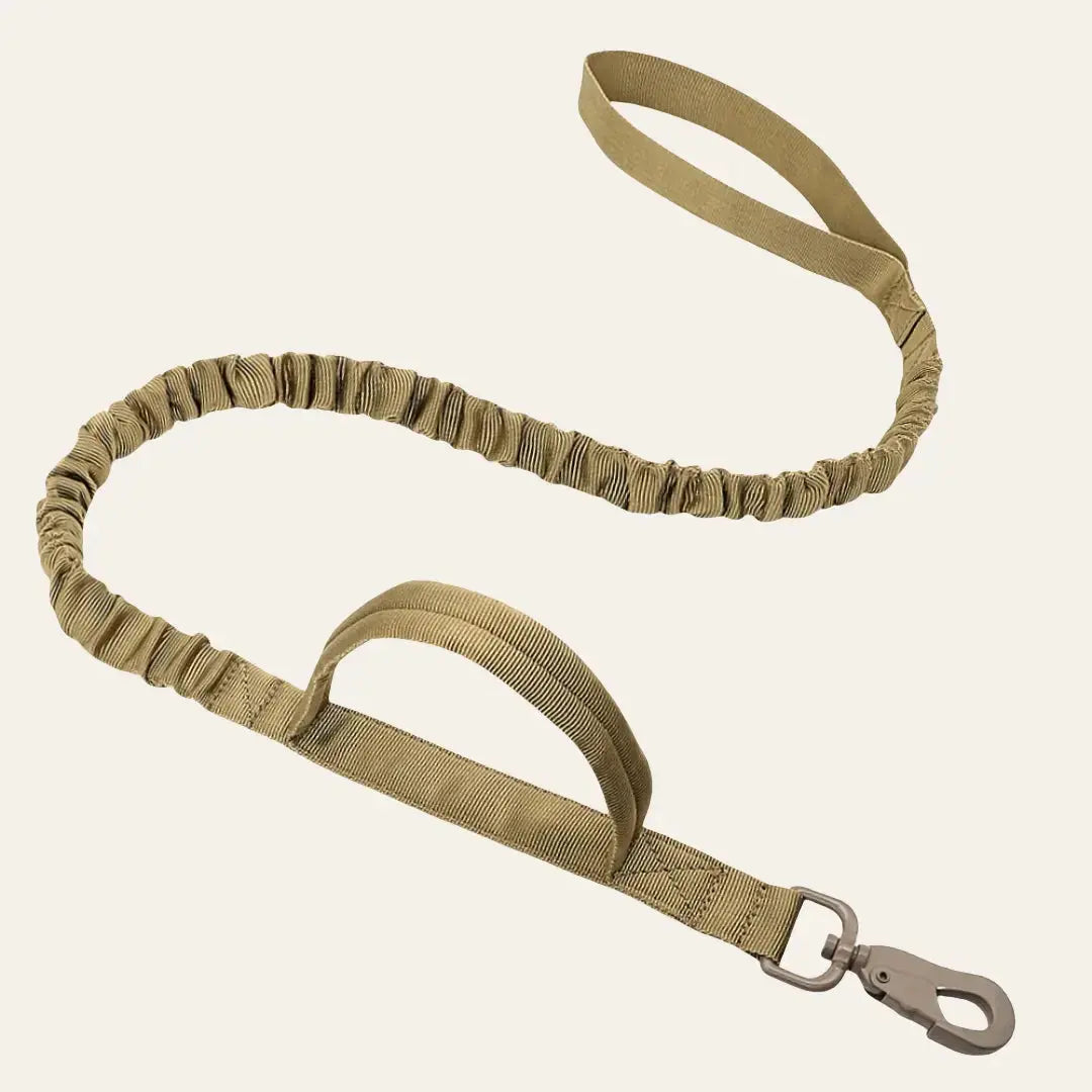 Tactical Bungee Leash Tailsprouts