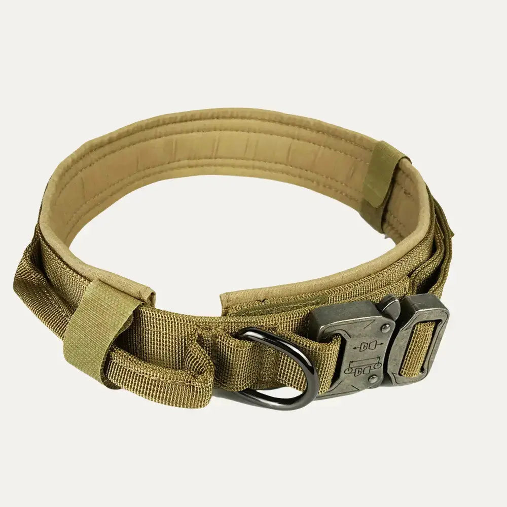 Tactical Collar Tailsprouts