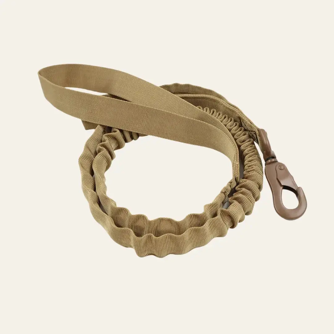 Tactical Bungee Leash Tailsprouts
