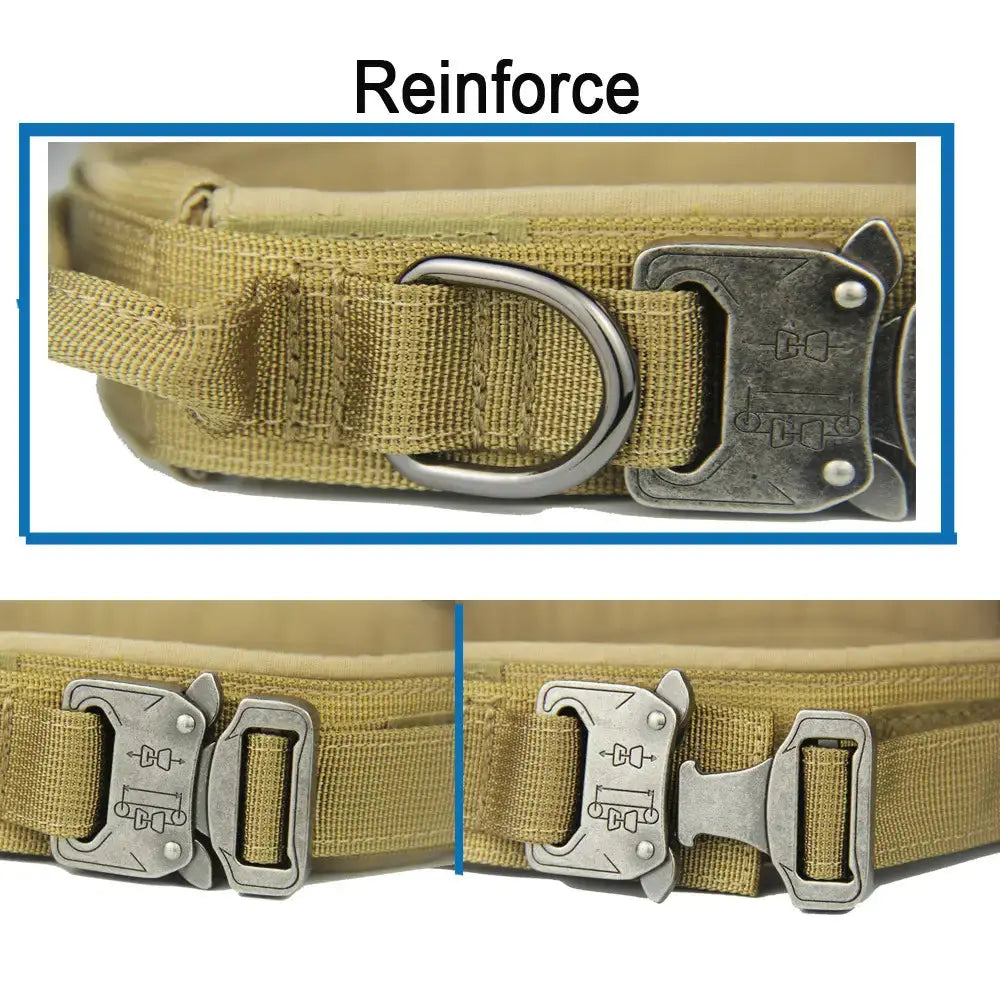 Tactical Collar Tailsprouts