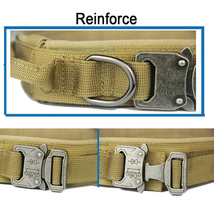 Tactical Collar Tailsprouts
