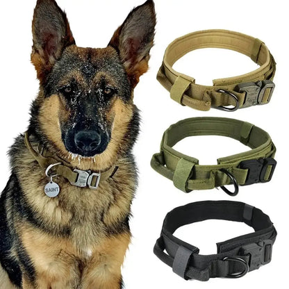 Tactical Collar Tailsprouts