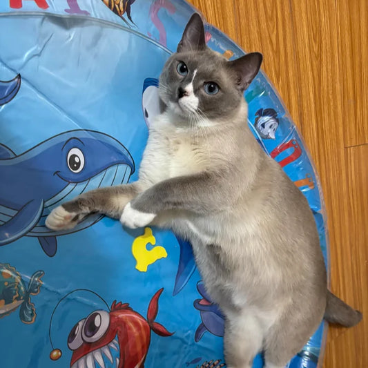Paw Cooling Water Bed
