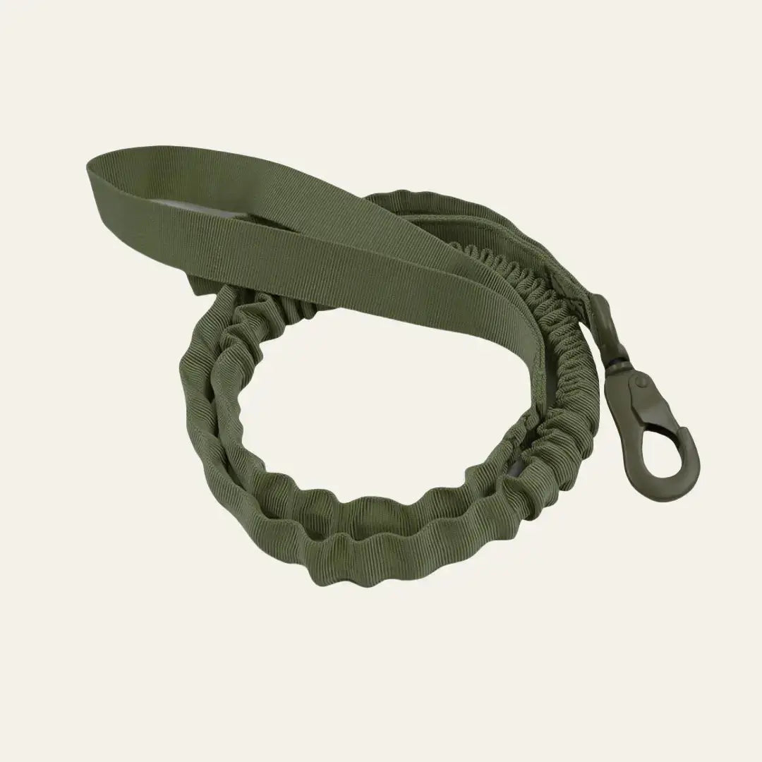Tactical Bungee Leash Tailsprouts