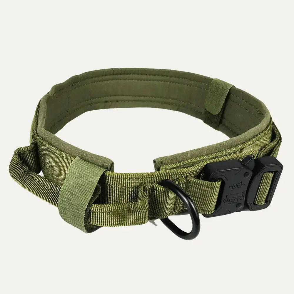 Tactical Collar Tailsprouts