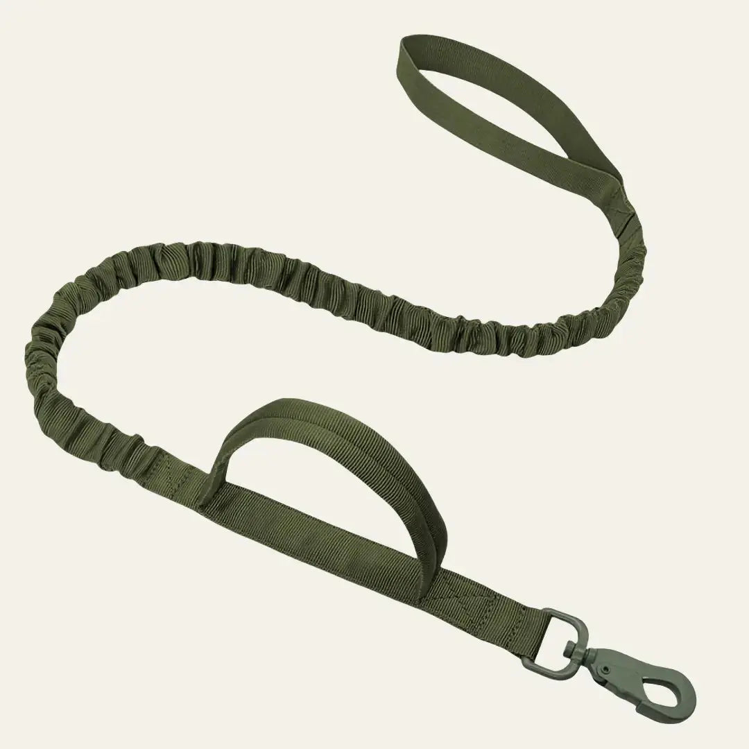 Tactical Bungee Leash Tailsprouts