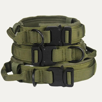 Tactical Collar Tailsprouts