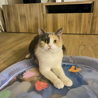 Paw Cooling Water Bed