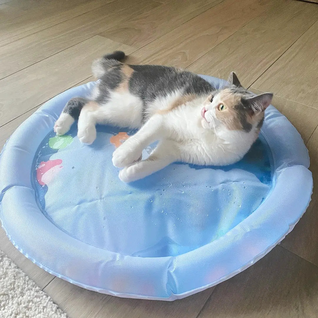 Paw Cooling Water Bed